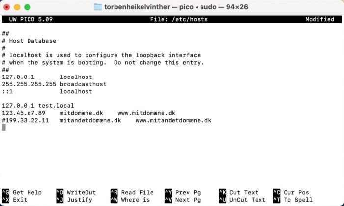 Terminal med nano-editoren og en IP-mapping tilføjet